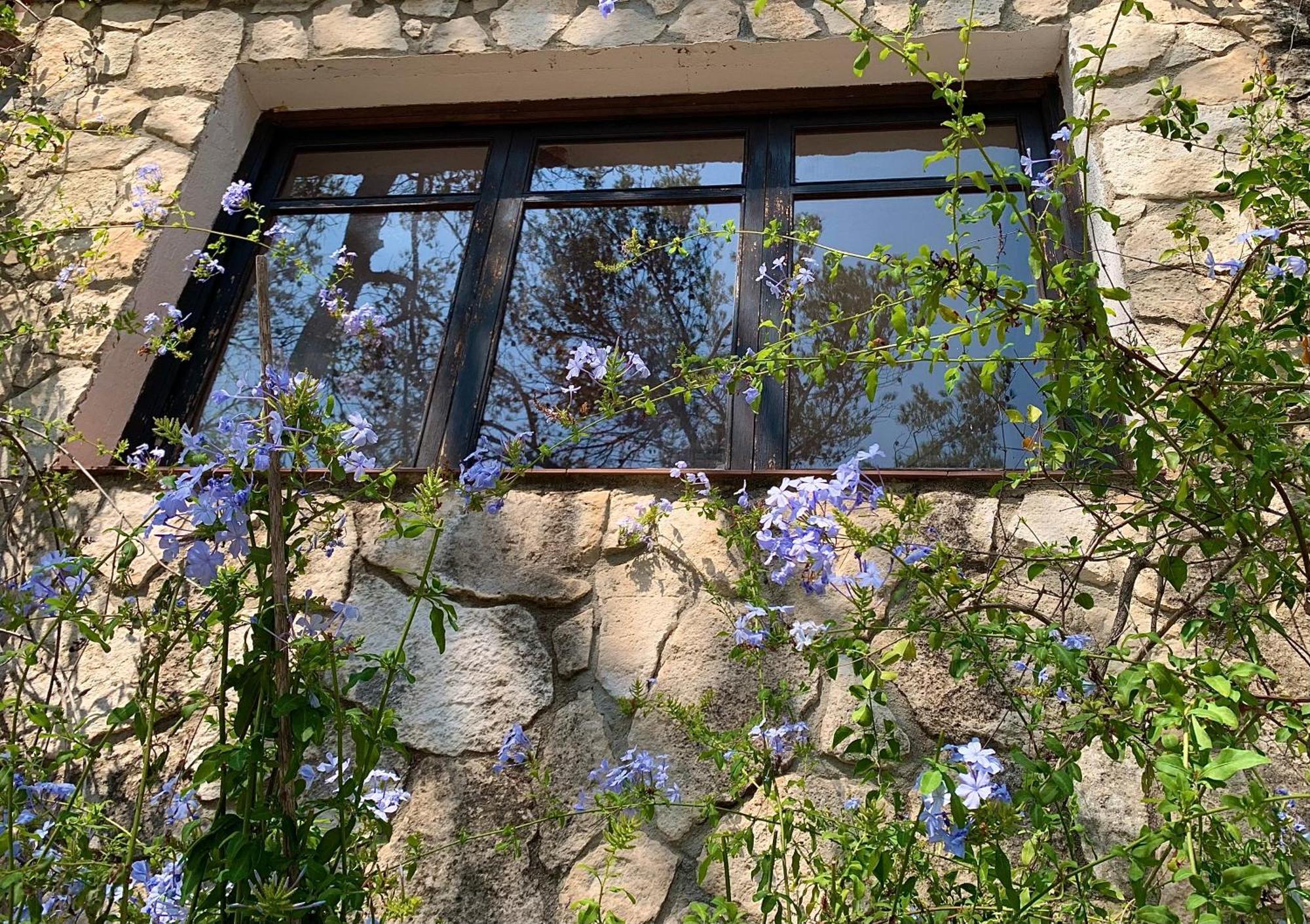 Appartement La Casita Del Bosque à Sant Pere De Ribes Extérieur photo