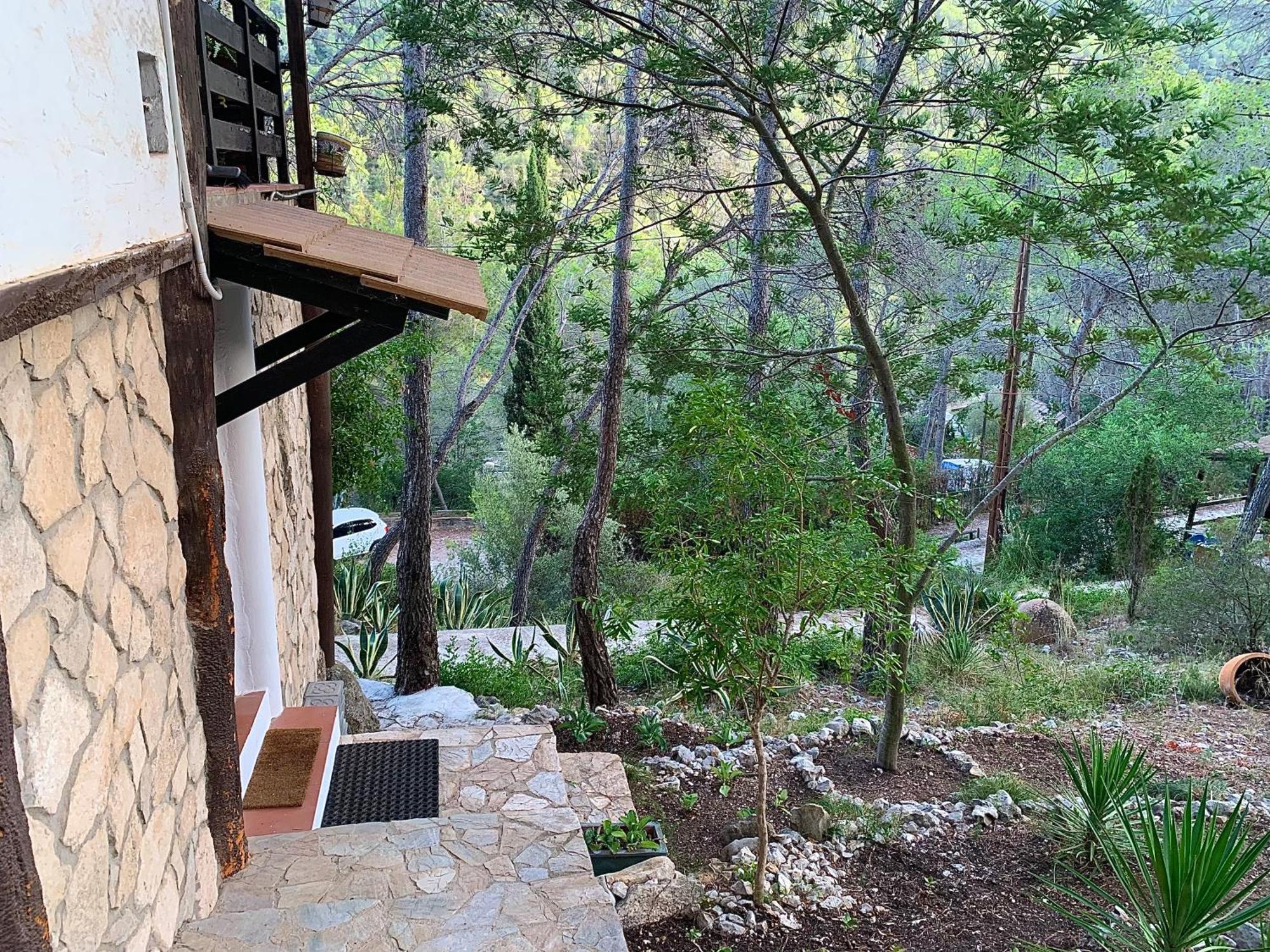 Appartement La Casita Del Bosque à Sant Pere De Ribes Extérieur photo