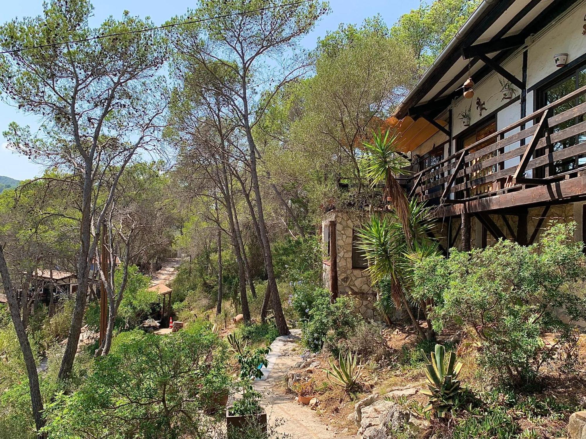 Appartement La Casita Del Bosque à Sant Pere De Ribes Extérieur photo